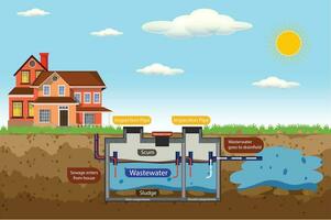 septique réservoir diagramme. septique système et drainer champ schème. un souterrain septique réservoir illustration. infographie avec texte descriptions de une septique réservoir. Accueil eaux usées traitement système. vecteur