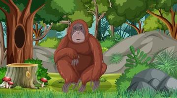 orang-outan dans une scène de forêt ou de forêt tropicale avec de nombreux arbres vecteur
