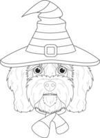 Halloween salutation carte pour coloration. cavoodle chien habillé comme une sorcière avec noir et Orange chapeau et violet et noir écharpe vecteur