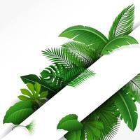 signe avec texte espace de tropical feuilles. adapté pour la nature concept, vacances, et été vacances, vecteur illustration