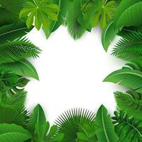 Contexte de tropical feuilles. adapté pour la nature concept, vacances, et été vacances, vecteur illustration