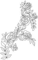 rose, noir et blanc avec lignes sur une blanc Contexte. Rose fleur ornement vecteur