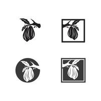 logo chocolat et icône de cacao et conception vectorielle noix et noix délicieuses vecteur