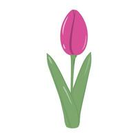 isolé épanouissement brillant rose tulipe fleur pour bouquet dans branché doux nuances. le printemps. autocollant vecteur