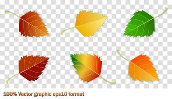 ensemble de l'automne feuilles, différent couleurs avec ombre. concept - l'automne, l'automne ambiance. isolé l'automne éléments pour conception. bouleau feuilles vecteur