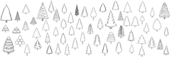 collection de pin arbre dans griffonnage style. main tiré sapin arbre isolé sur blanc Contexte. contour pin des arbres. grand ensemble de épicéas. Noël des arbres dans griffonnage style. vecteur illustraiton.