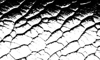 une noir et blanc image de une fissuré Roche vecteur