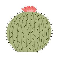mignonne main tiré cactus de Mexique ou sauvage Ouest désert. vecteur Facile cactus fleur avec les épines dans dessin animé style. mexicain épineux exotique plante isolé sur blanc Contexte.