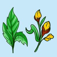 ensemble de botanique arts. main tiré ligne dessin de abstrait fleur, floral, rose, tropical feuilles, printemps et l'automne feuille, bouquet de Olives vecteur