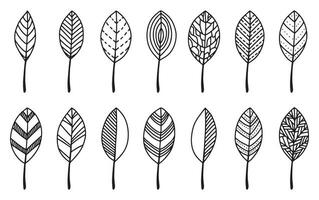 ensemble de vecteur griffonnage feuilles. noir contour main dessin de feuilles pour autocollants, cartes, décor. vecteur illustration sur blanc Contexte