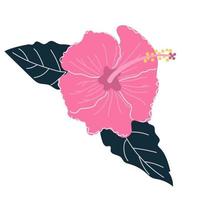 fleur d'hibiscus dessinée à la main avec des feuilles. concept de fleur tropicale exotique. illustration plate. vecteur