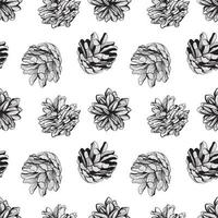 Design de fond noir et blanc transparente motif naturel avec des pommes de pin vector illustration