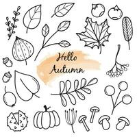 Bonjour l'automne. l'automne récolte symboles. ensemble de l'automne éléments feuilles, baies, des fruits, légumes, champignons, glands. dessiné à la main, esquisser. vecteur illustration dans griffonnage style