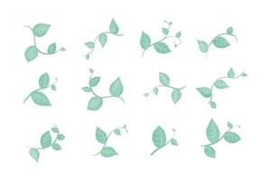 éléments de conception vectorielle définie branche verte aquarelle de collection avec des feuilles. illustration élégante de beauté décorative pour la feuille de conception dans le style d'aquarelle. vecteur