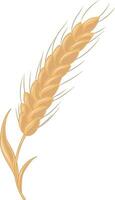 d'or agriculture blé oreilles illustration graphique élément art carte vecteur