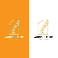 riz logo, ferme blé logo conception, vecteur symbole icône graphique illustration