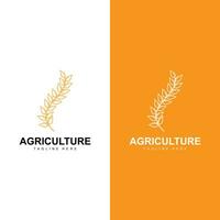 riz logo, ferme blé logo conception, vecteur symbole icône graphique illustration