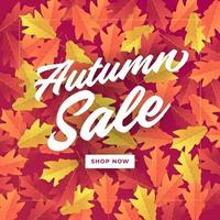 bannière de vente d'automne pour la vente d'achats. fond de feuilles d'automne colorées. vecteur