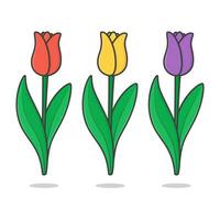 ensemble de coloré tulipes vecteur icône illustration. magnifique tulipe fleurs plat icône