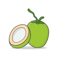 entier vert noix de coco et moitié noix de coco vecteur icône illustration. Frais Jeune noix de coco icône