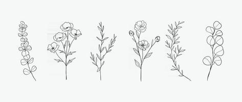 conception de dessin à la main botanique minimale pour le logo et l'invitation de mariage. dessin au trait floral. collection de conception de fleurs et de feuilles pour la décoration de bouquets, fond de carte et d'emballage. vecteur