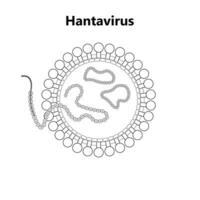 hantavirus avec le protecteur médical masque. hantavirus urgence concept. hantavirus, hps virus infection pulmonaire syndrome hps. le déclenchement continue à propager à l'extérieur Chine. chinois drapeau vecteur