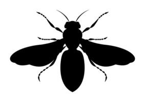 noir et blanc abeille vecteur clipart