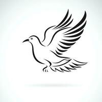 vecteur de une pigeons sont en volant sur blanc Contexte. facile modifiable en couches vecteur illustration. des oiseaux. animaux.