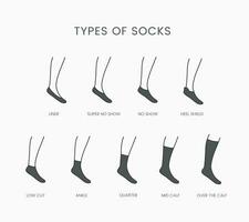 les types de chaussettes, linéaire vecteur icône