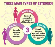 Trois principale les types de oestrogène. infographies. estradiol, estrone et l'estriol. oestrogène hormone les niveaux graphique, ménopause. oestrogène hormone concept vecteur