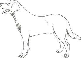 main tiré chien contour illustration vecteur