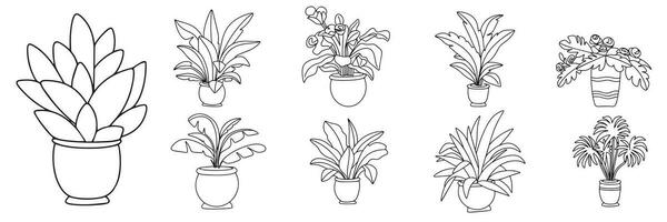 collection de plantes d'intérieur dans griffonnage style isolé sur blanc Contexte. ensemble de plante d'appartement intérieur décor dans contour. vecteur illustration.