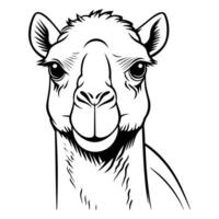 chameau tête coloration page vecteur