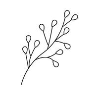 vecteur illustration de décoratif branche.