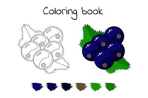 livre de coloriage pour les enfants. illustration vectorielle. groseille avec le vecteur