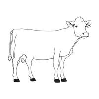 vecteur image main dessin vache contour illustration