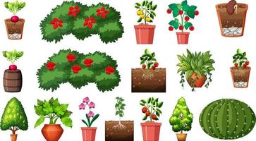 ensemble de différentes plantes en pots isolé sur fond blanc vecteur