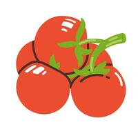 branche de rouge Cerise tomates isolé sur une blanc Contexte. plat moderne vecteur illustration.