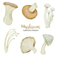 champignon dans la collection aquarelle vecteur plat sur fond blanc