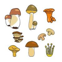ensemble de vecteur coloré champignons dans dessin animé style