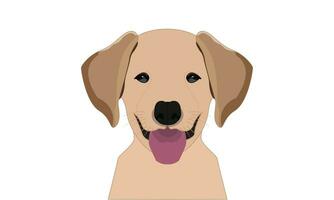 d'or retriever chien vecteur illustration