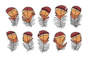 mignonne collection de marron oiseau plumes dans dessin animé style. même regarder, différent formes. vecteur illustration