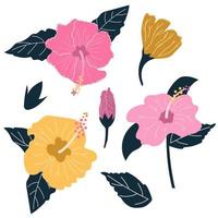ensemble de fleurs d'hibiscus dessinées à la main avec des feuilles. concept de fleur tropicale exotique. illustration plate.