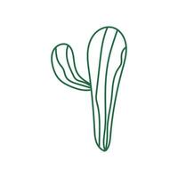 cactus ligne vecteur élément , cactus illustration icône , cactus icône , plante cactus ligne