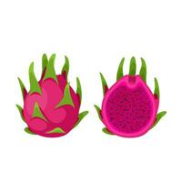 vecteur illustration, mûr rouge pitahaya fruit, entier et réduit de moitié, connu comme dragon fruit, isolé sur blanc Contexte