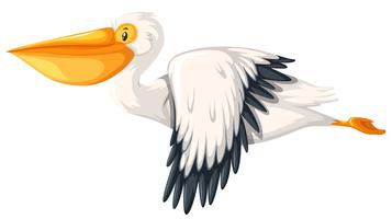 Pélican volant à fond blanc vecteur