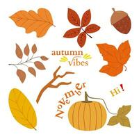 vecteur ensemble de l'automne éléments. moderne tomber saisonnier décor avec séché feuille, érable feuille et citrouille