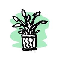 fleur dans un pot pour la maison - isoler sur fond blanc. faire pousser des plantes. jardin vecteur