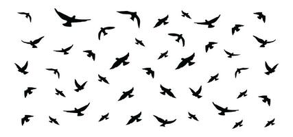 silhouettes de en volant des oiseaux et animaux dans silhouette vecteur