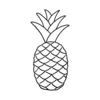 fruit griffonnage ananas. frais, en bonne santé, tropical aliments. main tiré illustration. vecteur